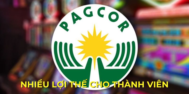 Thành viên nhận được lợi ích gì từ các giấy phép