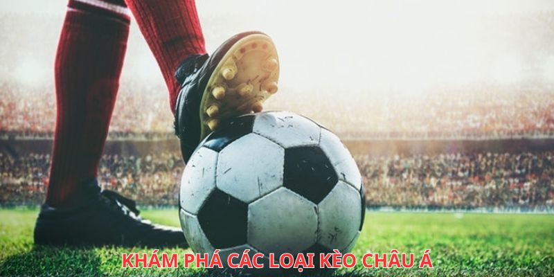 Khám phá các loại kèo châu Á